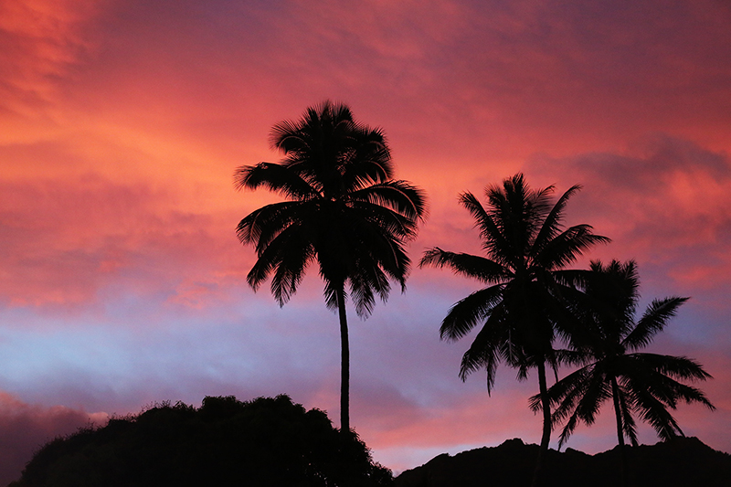 Rarotonga : Cook Islands : Travel : Photos :  Richard Moore Photography : Photographer : 